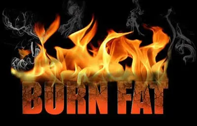 burn fat